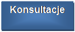 Schemat blokowy: proces: Konsultacje